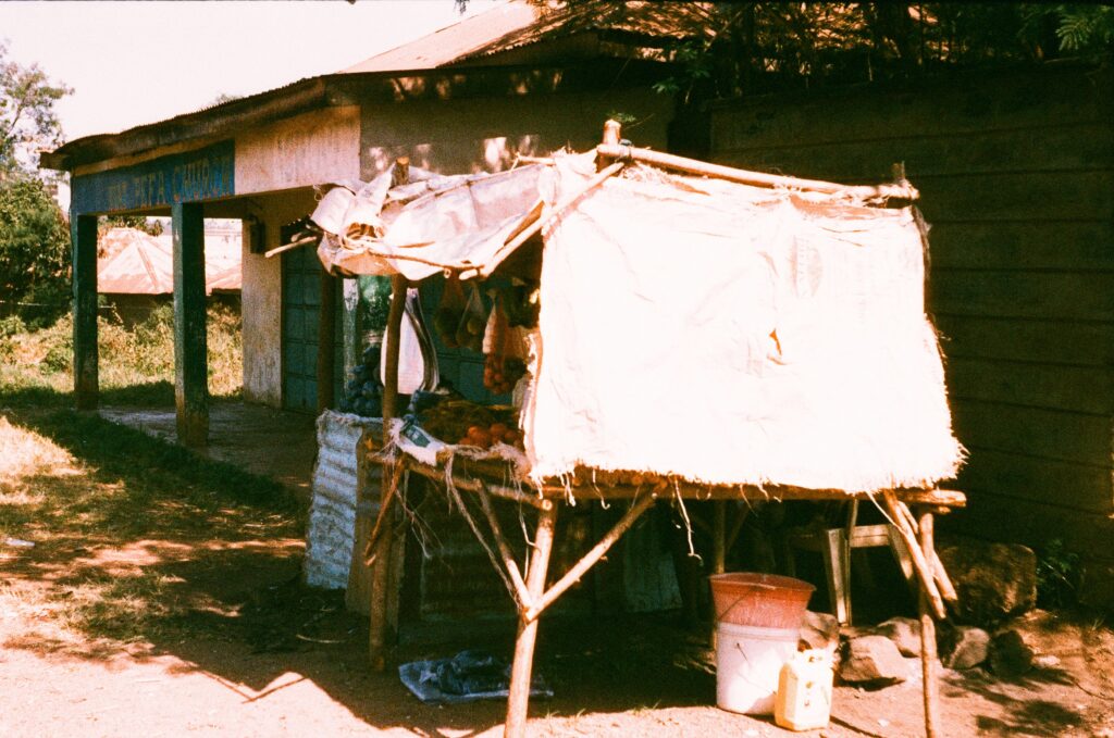 Stánek s ovocem sestávající z několika křivých dřev sbitých dohromady
